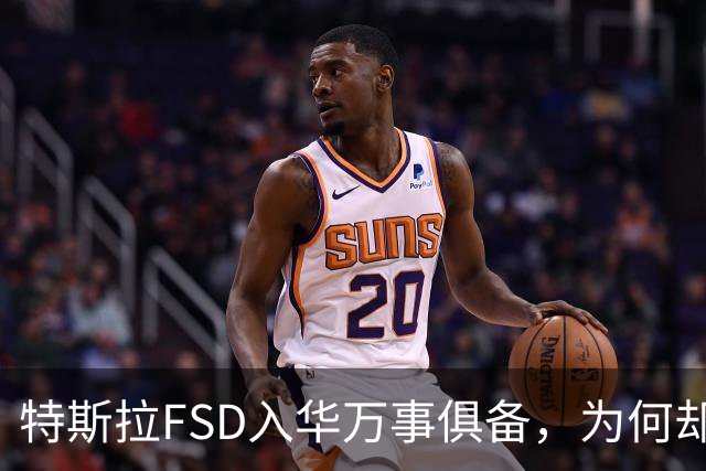 特斯拉FSD入华万事俱备，为何却卡在审批？